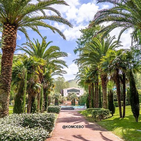 Appartement F2 A Cambo-Les-Bains Avec Piscine, Proche Thermes, Terrasse Et Parking - Fr-1-495-36 Екстер'єр фото